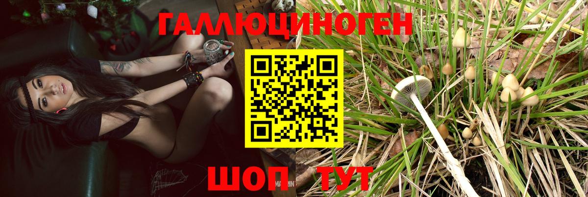 КЕТАМИН  КОКАИН  Мефедрон   Экстази  Бугуруслан  Бошки Шишки  Вход с VPN  ГАШИШ  ГАШИШ  Лсд 25 