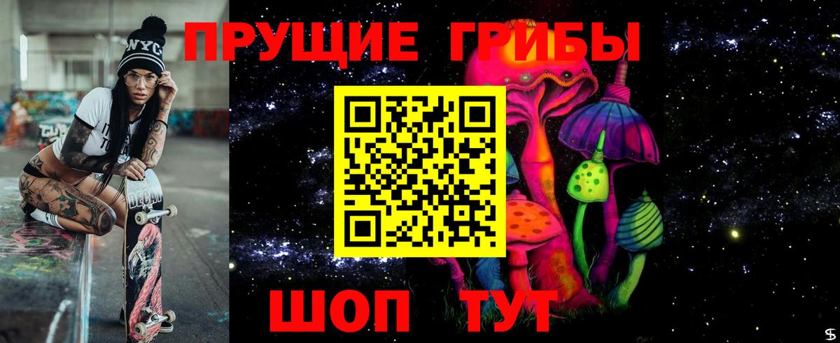 Псилоцибиновые грибы Cubensis  Вход с VPN  Бугуруслан 